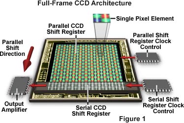 CCD DSP.jpg